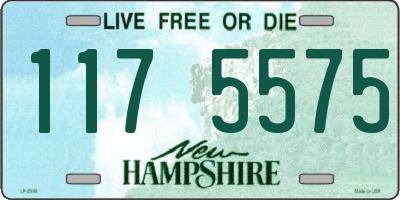 NH license plate 1175575