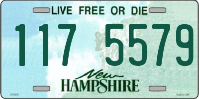 NH license plate 1175579
