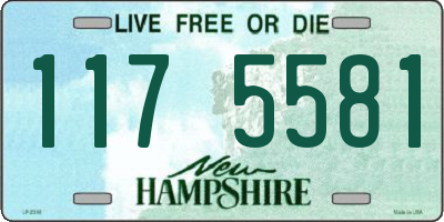 NH license plate 1175581