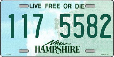NH license plate 1175582