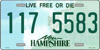 NH license plate 1175583