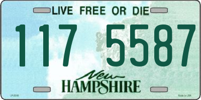 NH license plate 1175587