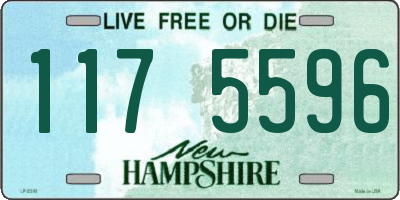 NH license plate 1175596