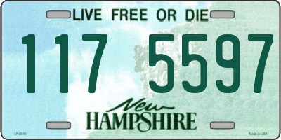NH license plate 1175597