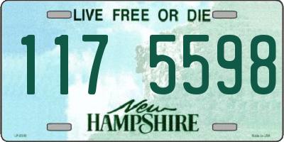NH license plate 1175598
