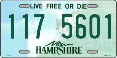 NH license plate 1175601