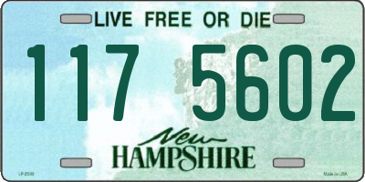 NH license plate 1175602