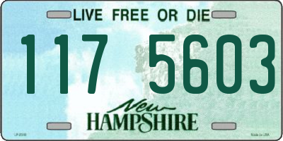 NH license plate 1175603