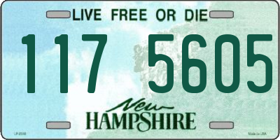 NH license plate 1175605