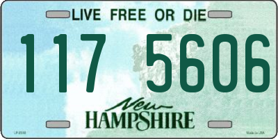 NH license plate 1175606