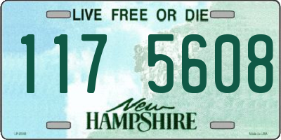 NH license plate 1175608
