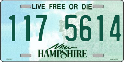 NH license plate 1175614