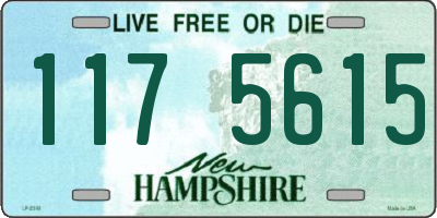 NH license plate 1175615