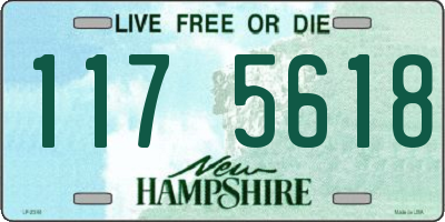 NH license plate 1175618