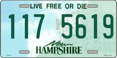 NH license plate 1175619