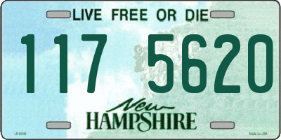NH license plate 1175620