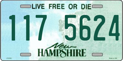 NH license plate 1175624
