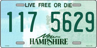NH license plate 1175629