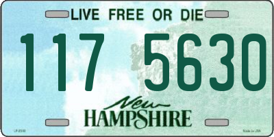 NH license plate 1175630