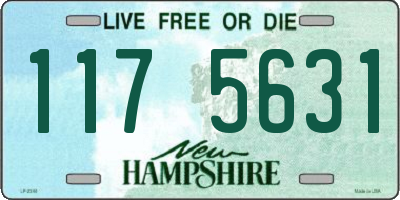 NH license plate 1175631