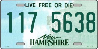 NH license plate 1175638