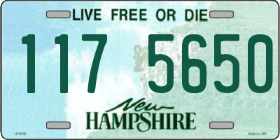 NH license plate 1175650
