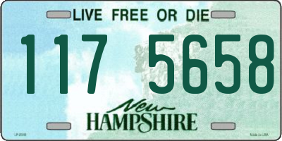 NH license plate 1175658