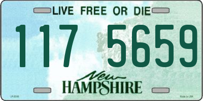 NH license plate 1175659