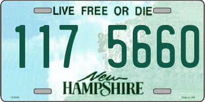 NH license plate 1175660