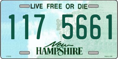 NH license plate 1175661