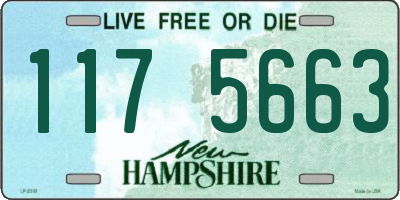 NH license plate 1175663