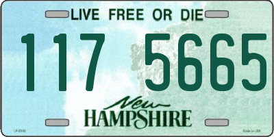 NH license plate 1175665