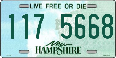 NH license plate 1175668