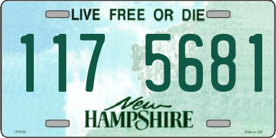 NH license plate 1175681
