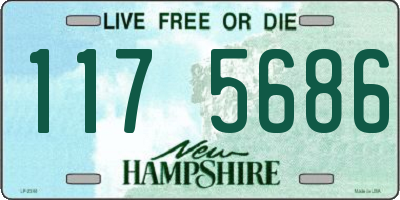 NH license plate 1175686