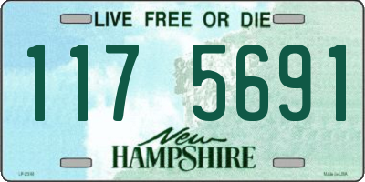 NH license plate 1175691