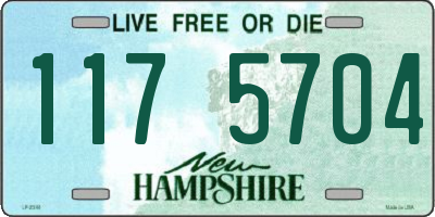 NH license plate 1175704