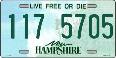 NH license plate 1175705