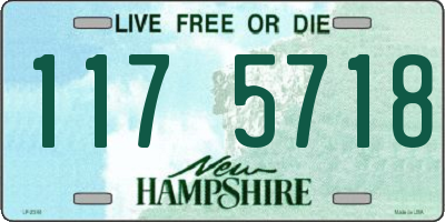 NH license plate 1175718