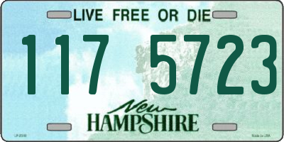 NH license plate 1175723