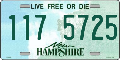 NH license plate 1175725