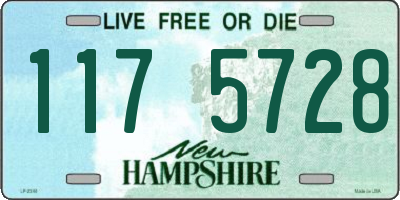 NH license plate 1175728