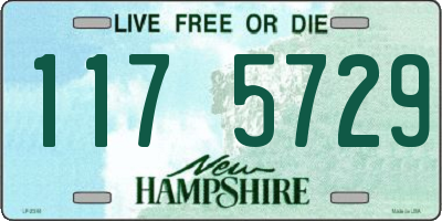 NH license plate 1175729