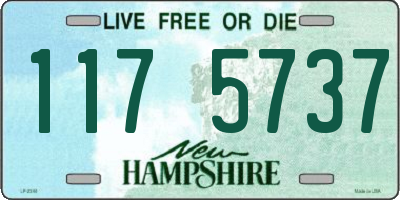 NH license plate 1175737