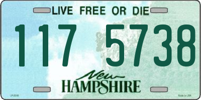 NH license plate 1175738