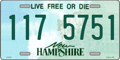 NH license plate 1175751