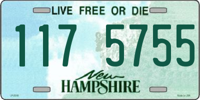 NH license plate 1175755