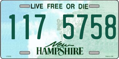 NH license plate 1175758