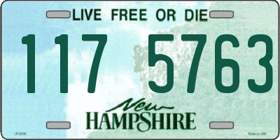 NH license plate 1175763