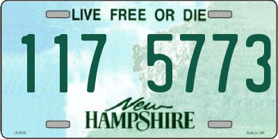 NH license plate 1175773
